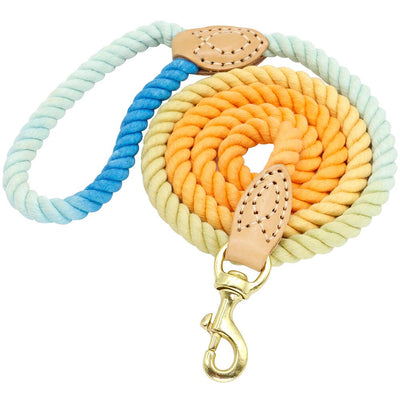 4 Colors Durable Nylon Dog Leash - My Pets Today