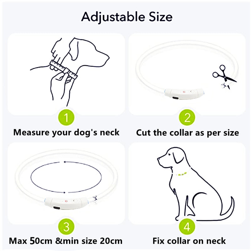 Led Light Dog Collar - USB Charging - My Pets Today