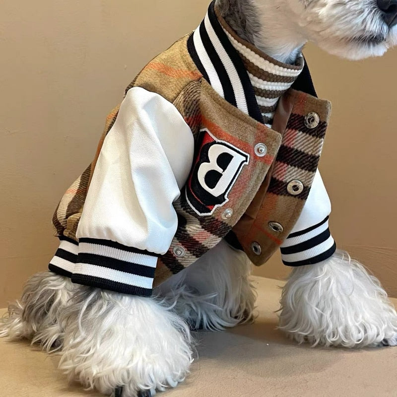 Baseball Jacket - My Pets Today