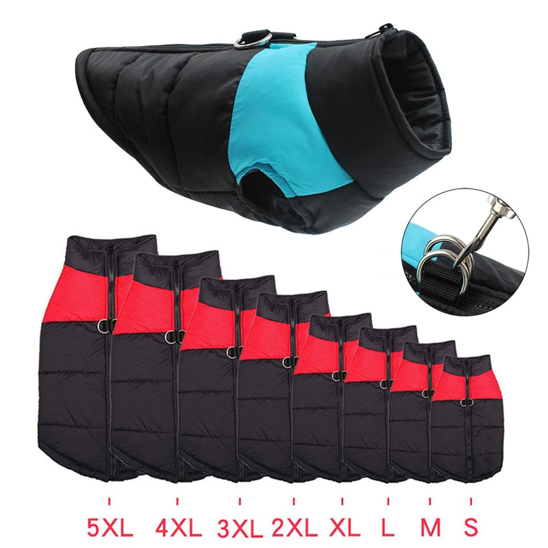 Waterproof Vest Zipper - My Pets Today