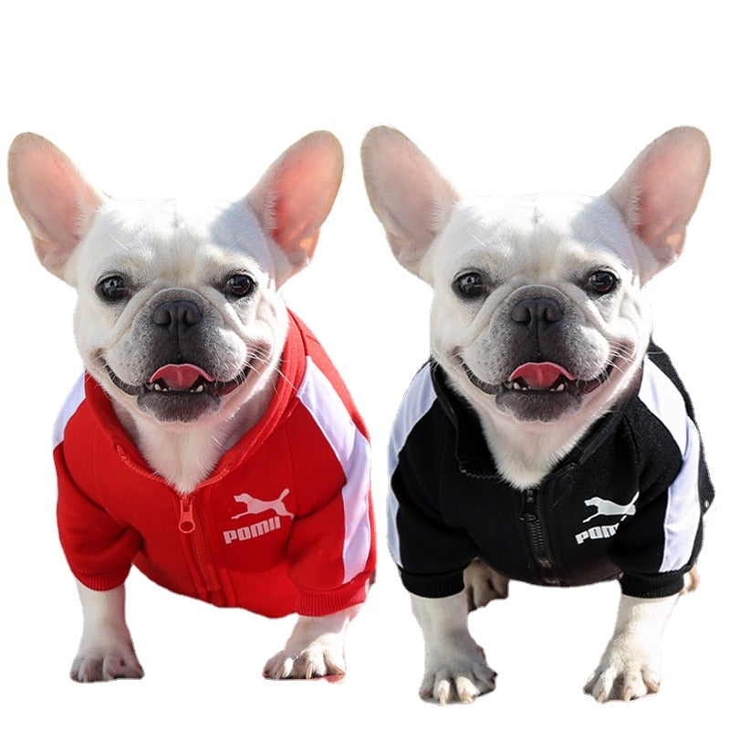 French Bulldog Jacket - My Pets Today