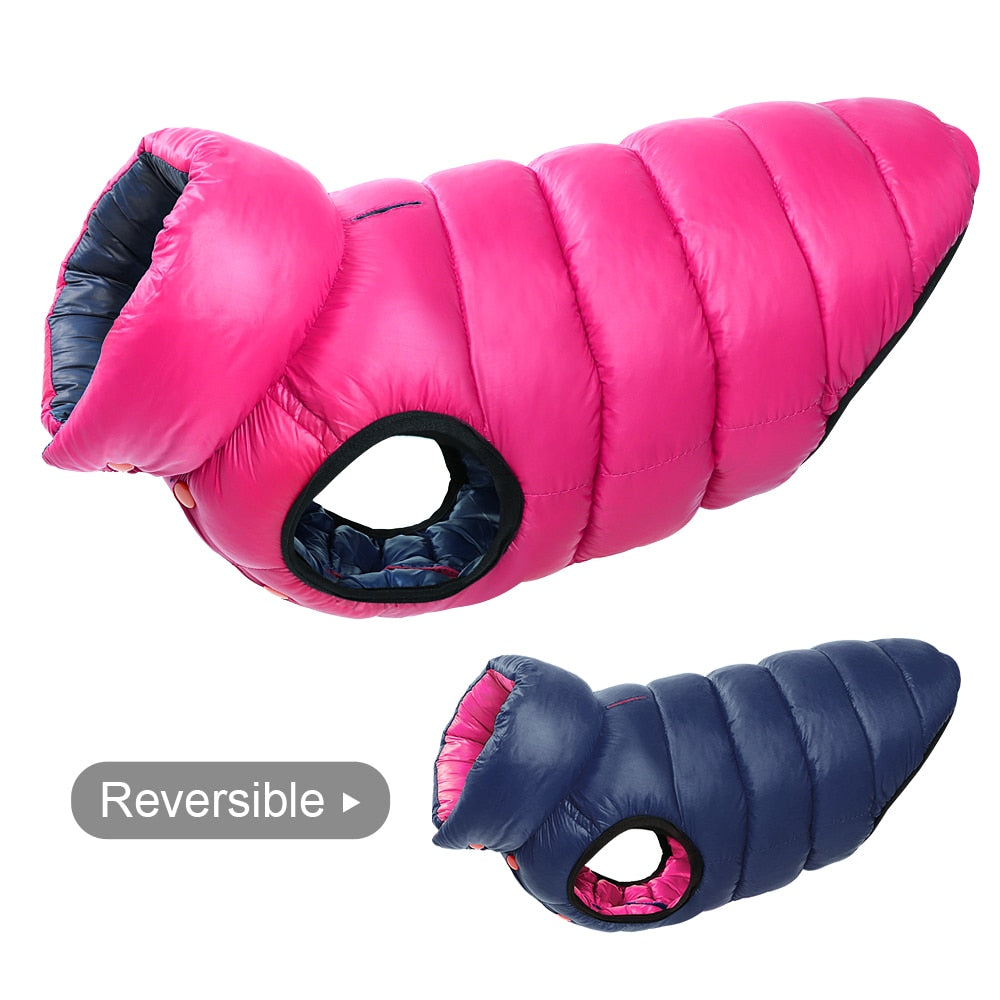 Reversible Warm Jacket - My Pets Today