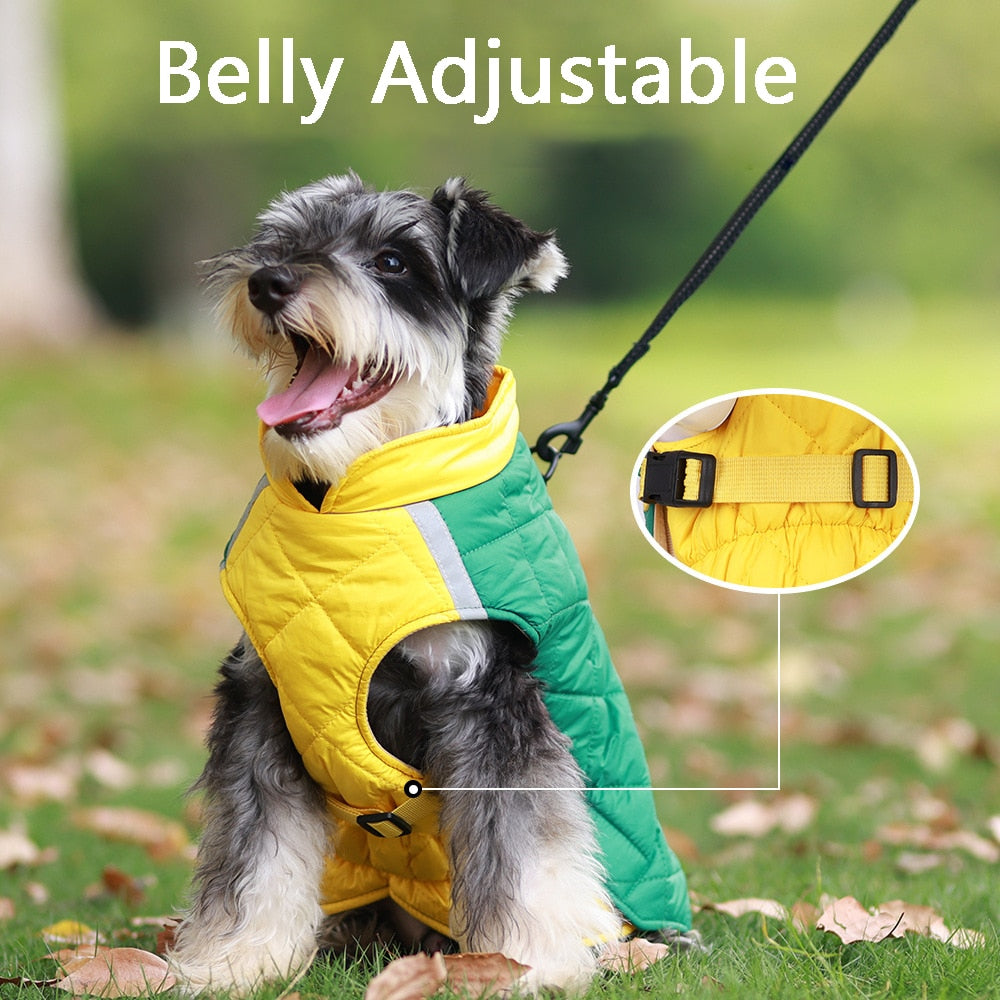 Waterproof Jacket Pumper - My Pets Today