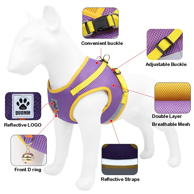 Safety Pet Harness and Leash Set - My Pets Today