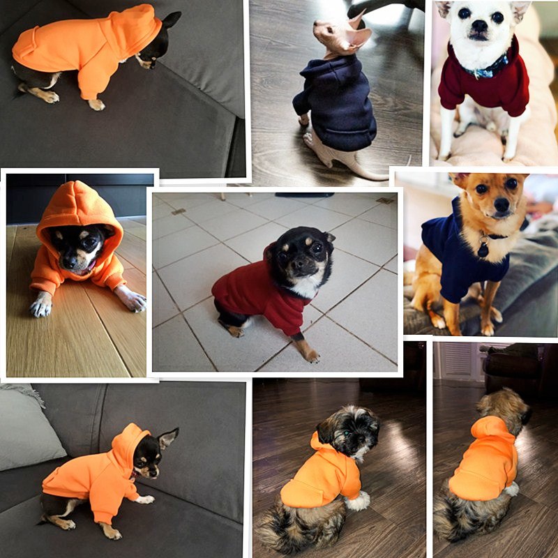 Cool Hoodie - My Pets Today