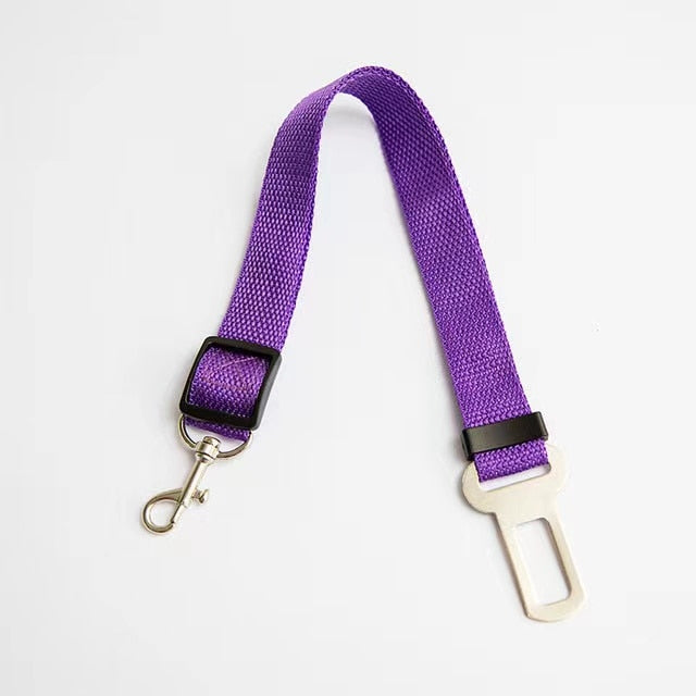 Vehicle Safety Belt Adjustable & Leash - My Pets Today