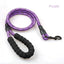 Vehicle Safety Belt Adjustable & Leash - My Pets Today