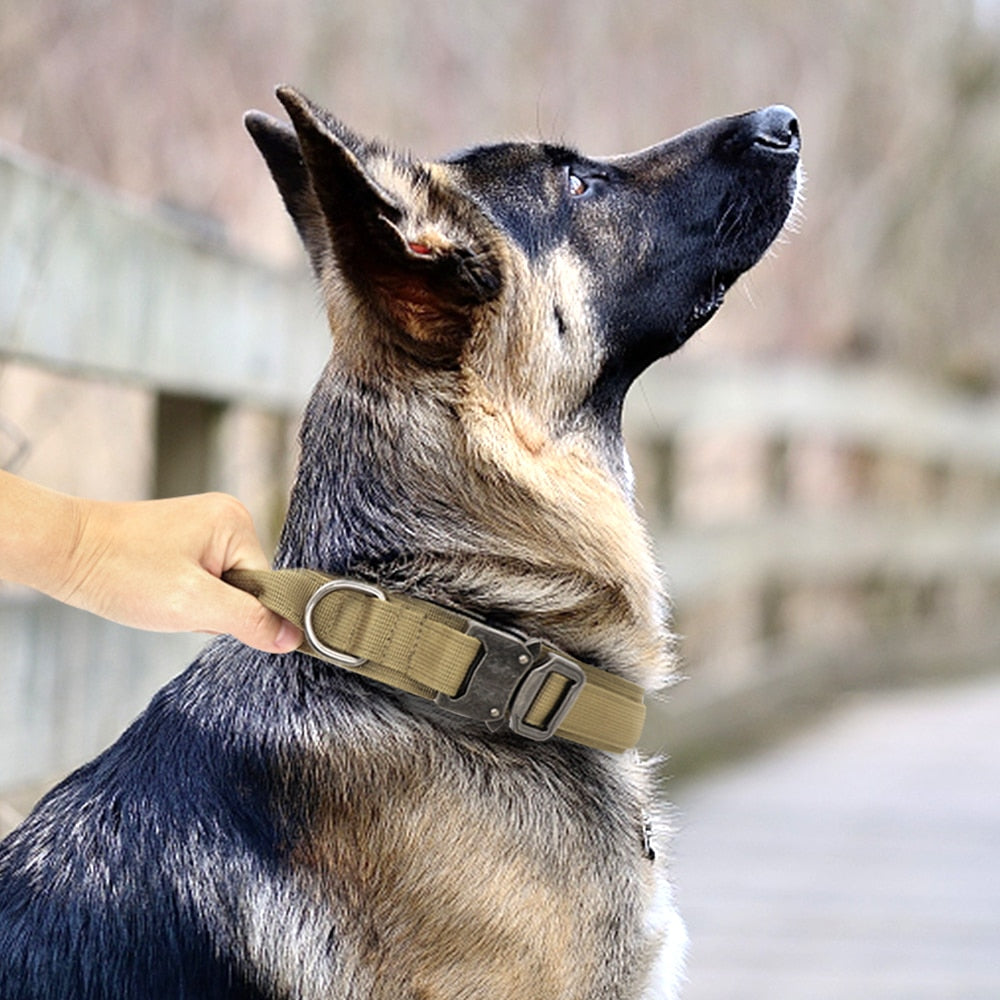 Durable Military Tactical Collar - My Pets Today