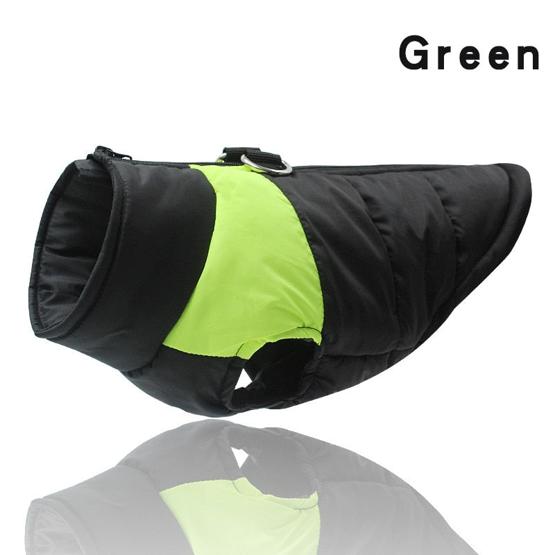 Waterproof Vest Zipper - My Pets Today