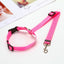 Car Seat Belt Nylon Leash - My Pets Today