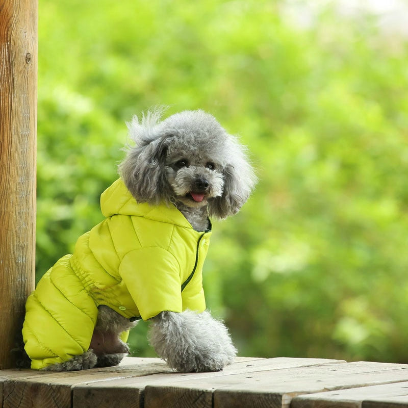 Pump Hoodie Coat - My Pets Today