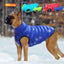 Reversible Warm Jacket - My Pets Today