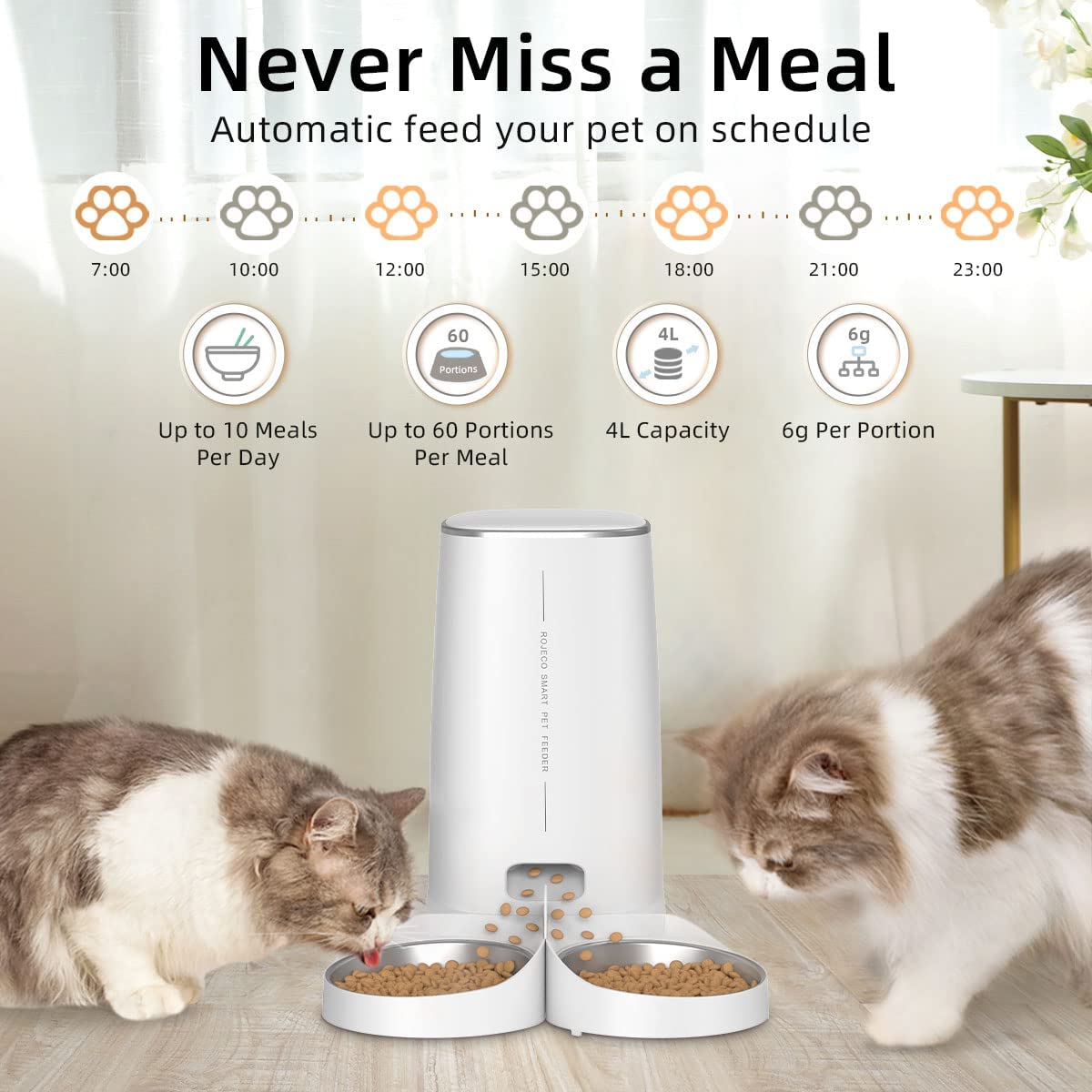 Smart Remote Food Dispenser Working with Wifi - My Pets Today