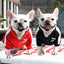 French Bulldog Jacket - My Pets Today