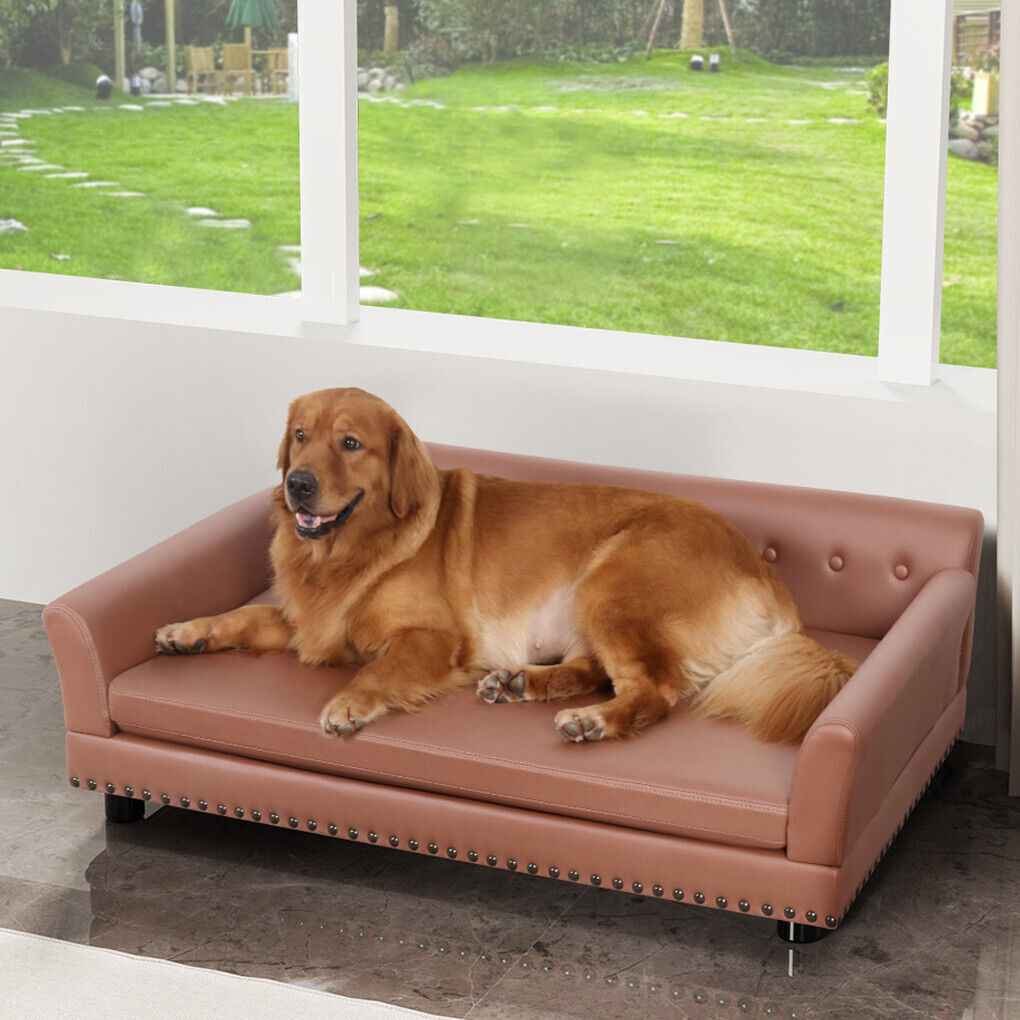 Removable Waterproof Sofa Bed - My Pets Today