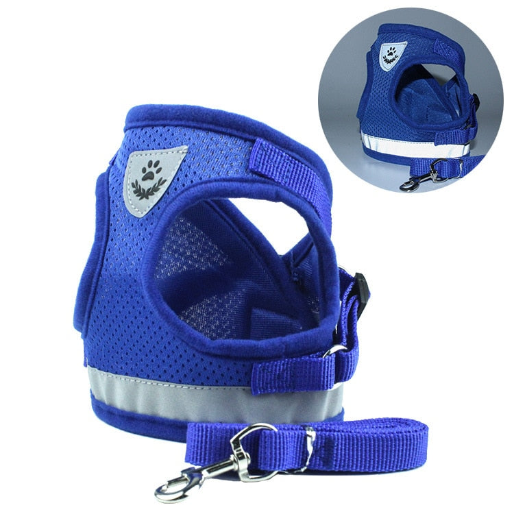 Safety Pet Harness and Leash Set - My Pets Today