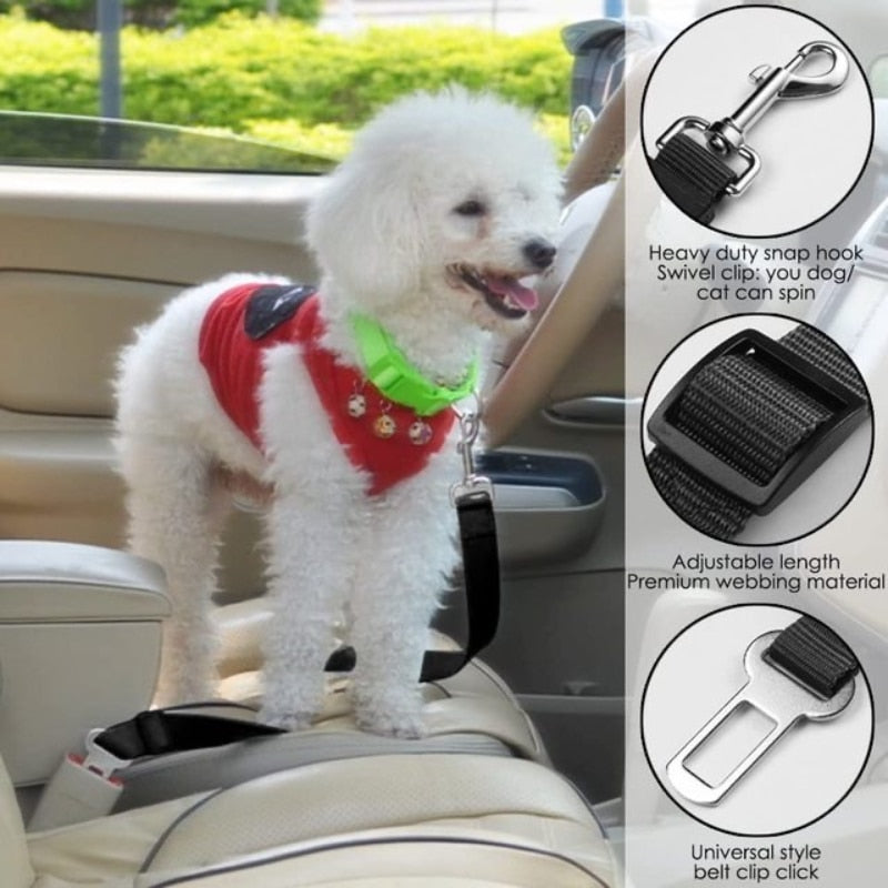 Vehicle Safety Belt Adjustable & Leash - My Pets Today