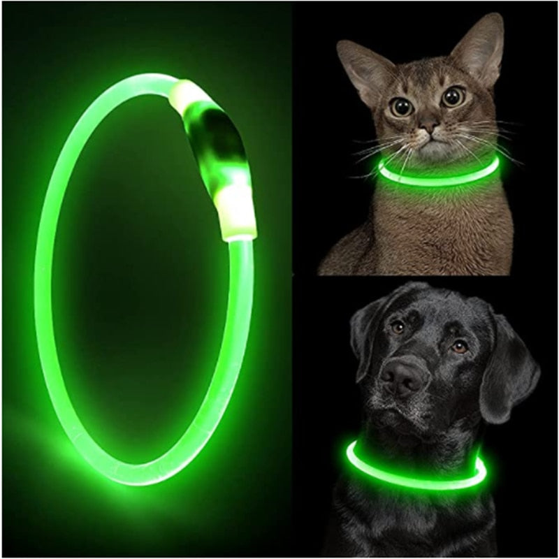 Led Light Dog Collar - USB Charging - My Pets Today