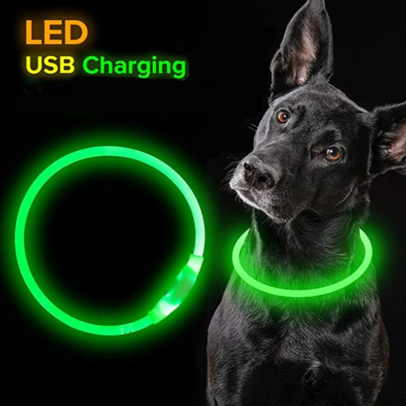 Led Light Dog Collar - USB Charging - My Pets Today