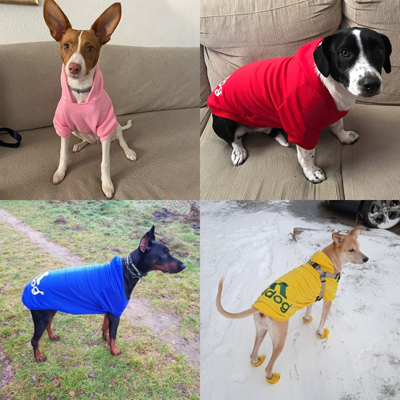 AdiDOG Sweatshirt Cotton - My Pets Today