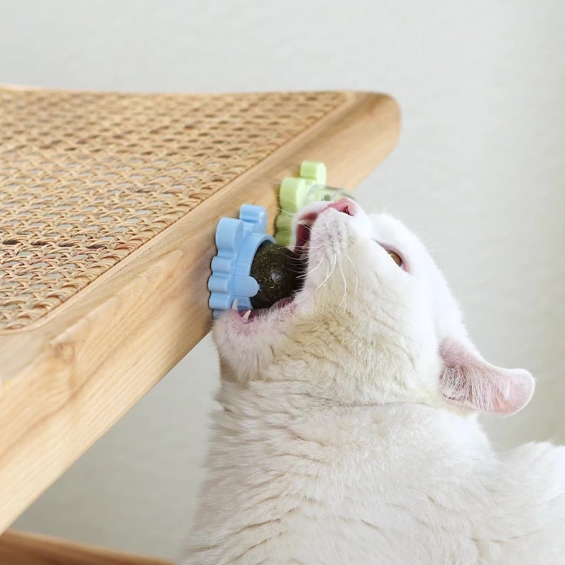 Licking Snacks Catnip Snack Nutrition Energy Ball - My Pets Today
