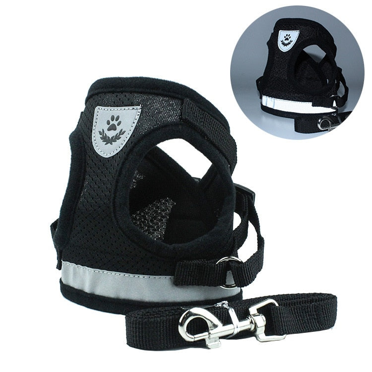 Safety Pet Harness and Leash Set - My Pets Today