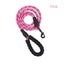 Vehicle Safety Belt Adjustable & Leash - My Pets Today