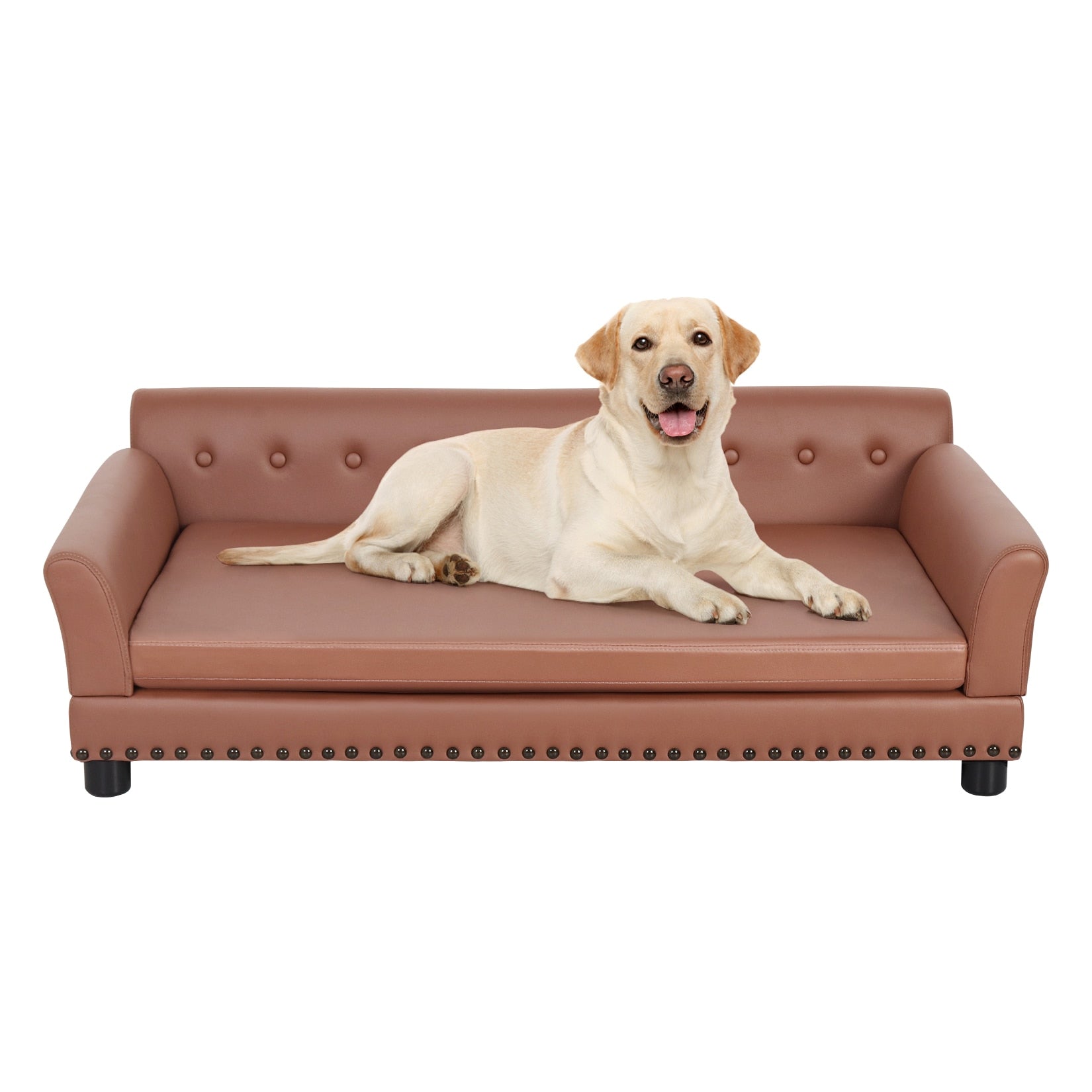 Removable Waterproof Sofa Bed - My Pets Today