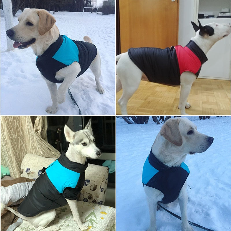 Waterproof Vest Zipper - My Pets Today