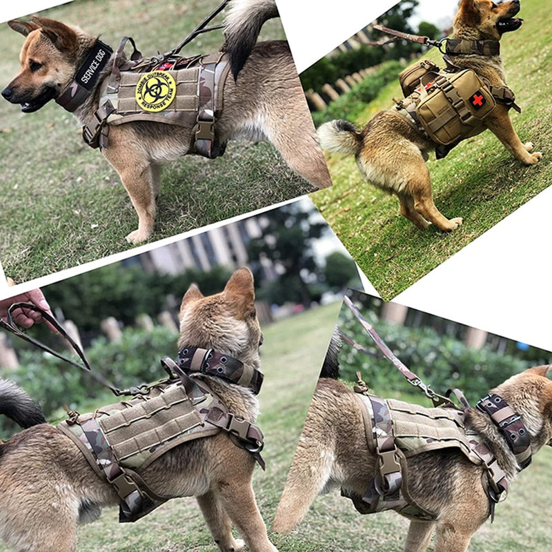 Military Vest - My Pets Today