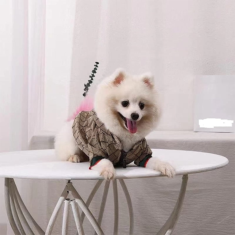 Sweatshirt French Bulldog - My Pets Today