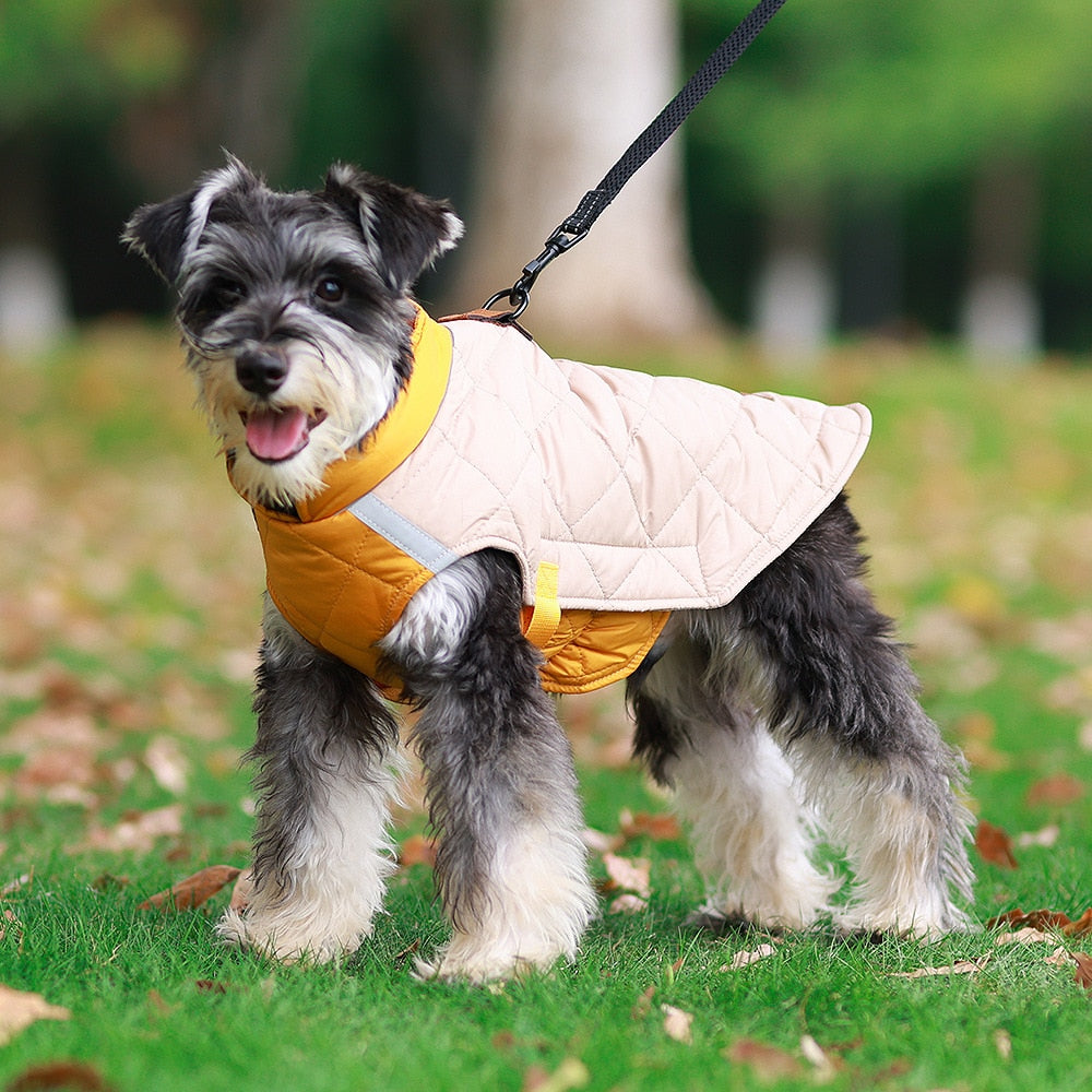 Waterproof Jacket Pumper - My Pets Today