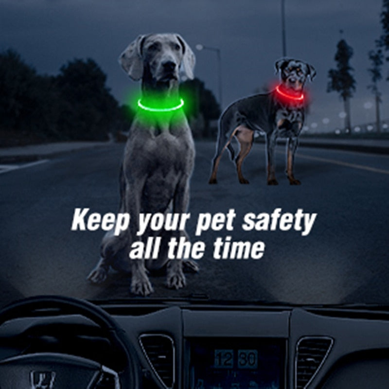 Led Light Dog Collar - USB Charging - My Pets Today